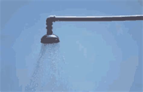 Shower Head GIFs | Tenor