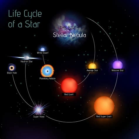 Discover the Largest Star in the Known Universe - Wiki Point