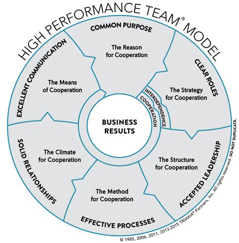 The High Performance Team® Model - Triaxia Partners