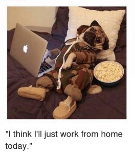 83 Best Work From Home Memes