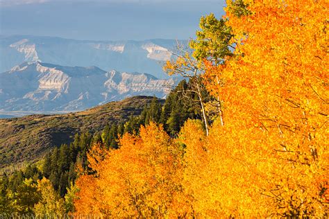 Grand Mesa Fall Colors // ADVENTR.co