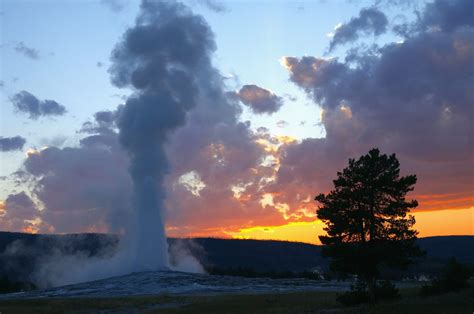 Old Faithful Geyser Erupts At Sunset, Upper Geyser Basin, Yellowstone ...