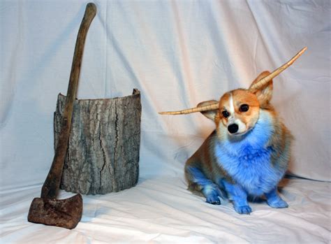 Lucy Says.: {5 Lovely Corgi Costumes on HALLOWEEN}