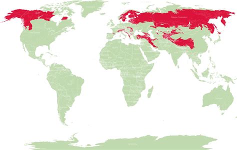 Bear Species Distribution Map