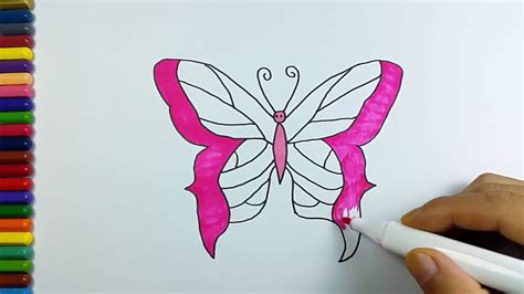 Colorful Butterfly Drawing