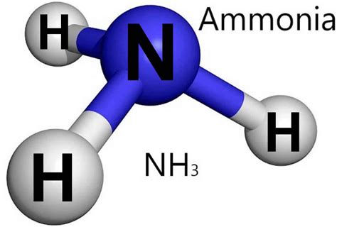 Unlocking Ammonia Production: A Deep Dive into the Haber-Bosch Process