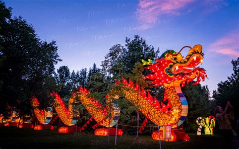 Lantern Festivals & China’s Timeless Culture - Tianyu Arts & Culture