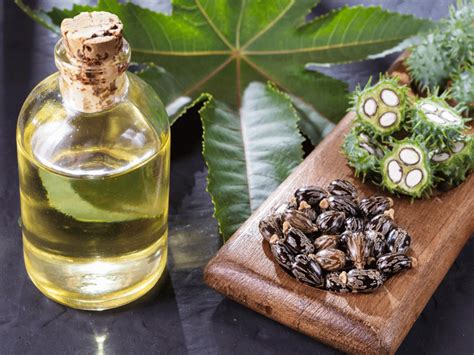 Castor Oil Benefits, Uses and Side Effects | LoveLocal