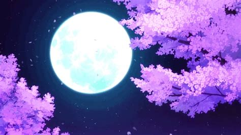 Anime Moon Night Wallpaper