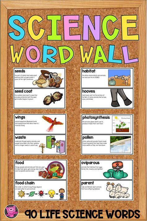 Science Word Wall - This Plants and Animals Life Science Bulletin Board ...