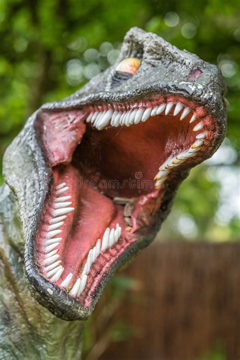 Sharp Teeth of a Velociraptor Dinosaur Stock Image - Image of carnivore ...