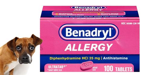 Can I Give My Dog Benadryl? If So How Much? – Veterinary Jobs