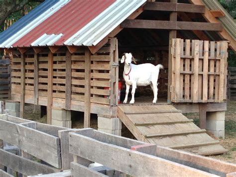 14Pallet Goat Shelter | Домик для коз, Козоводство, Козы