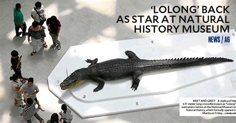 ‘LOLONG’ BACK AS STARAT NATURAL HISTORY MUSEUM - PressReader