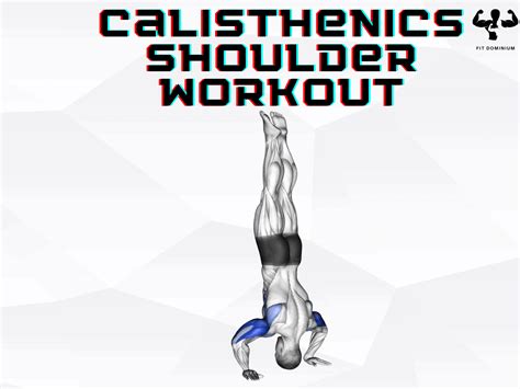 Calisthenics Shoulder Workout For Boulder Shoulders – FitDominium