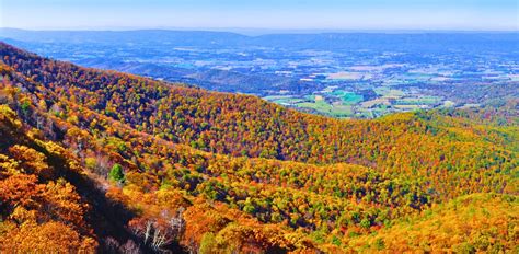 Fall in Shenandoah Valley, Virginia: 10 Places to See Fall Foliage