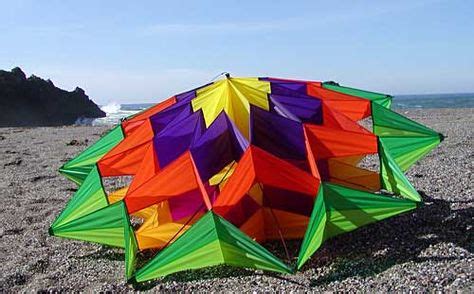 390 Unusual Kites ideas | go fly a kite, kite, kite flying