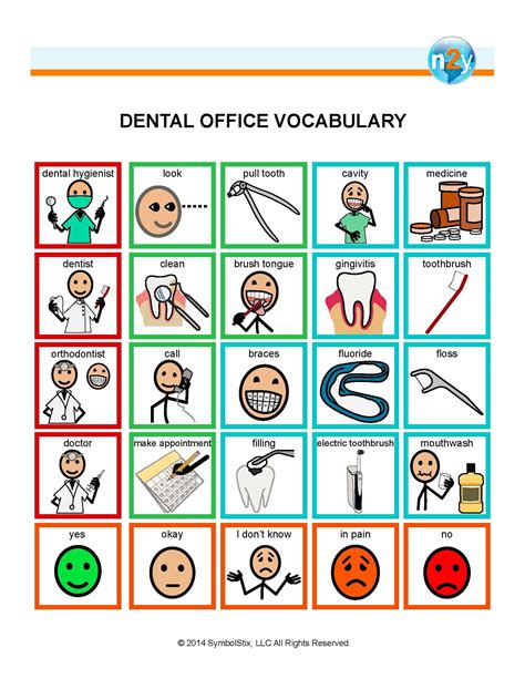 Dental Office Vocabulary For Better Understanding And Communication ...