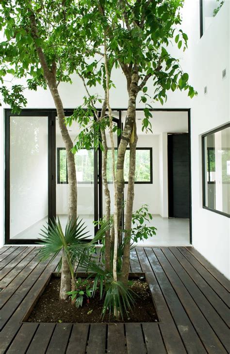 Central tree courtyard. W41 by Warm Architects | UP interiors ...