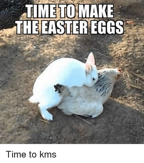 Funny Easter Memes 2024 | Happy Easter Funny Images, Meme, Photos ...