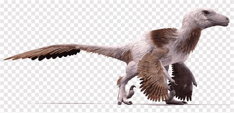 Velociraptor Dakotaraptor Bird Feather Utahraptor, most difficult maze ...