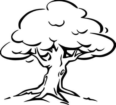 Tree Outline clip art Free Vector / 4Vector