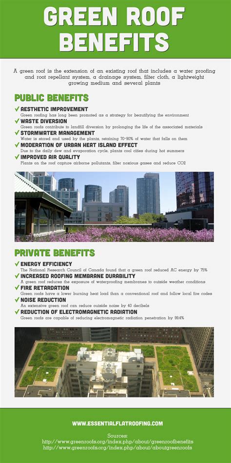 Green Roof: Benefits Of A Green Roof