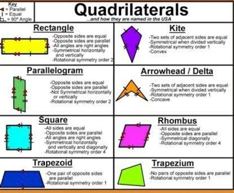 🏇🛵🏇The different types of Quadrilaterals🏇🛵🏇