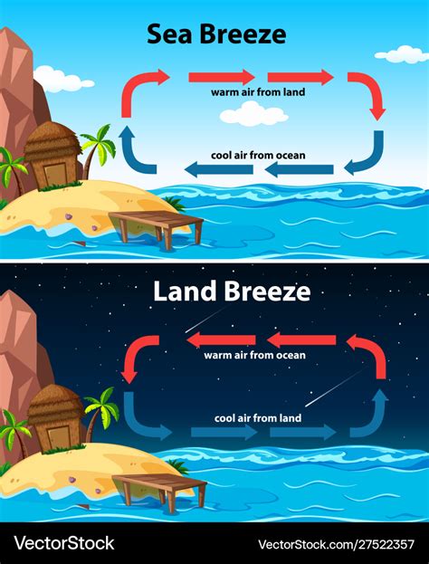 Diagram showing sea and land breeze Royalty Free Vector