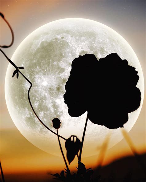 Full Flower Moon The Full Moon of May is traditionally known as the ...