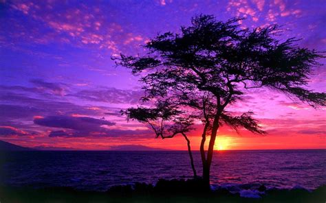 Blue and Purple Sunset Wallpapers - Top Free Blue and Purple Sunset ...