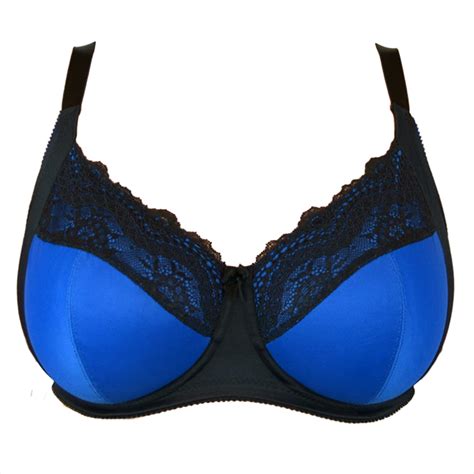 Lace Bra Free PNG Image