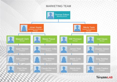 41 Organizational Chart Templates (Word, Excel, PowerPoint, PSD)