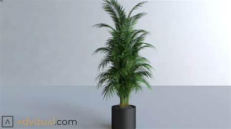 Plant (V-Ray Ready) | 3D Warehouse