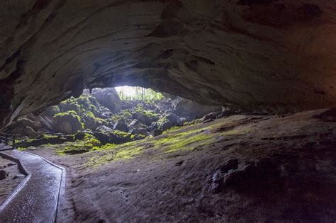 Gunung Mulu National Park - Caves, Bats and Luxury - The Crowded Planet