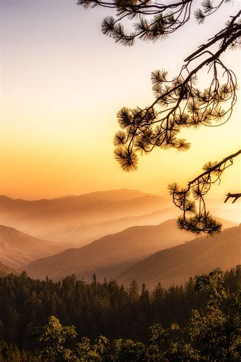 Sequoia National Park by Chiara Salvadori Sequoia National Park ...