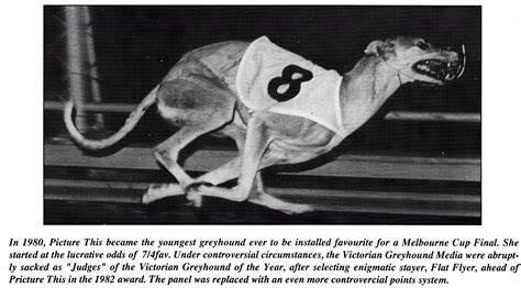 Picture This – History of Greyhound Racing in Australia