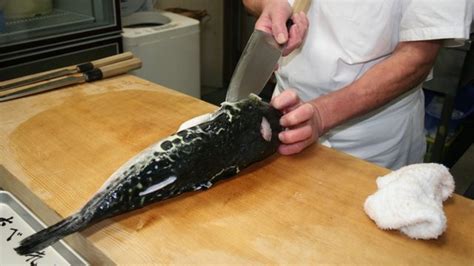 Preparing fugu, Japan's poisonous fish dish - BBC News