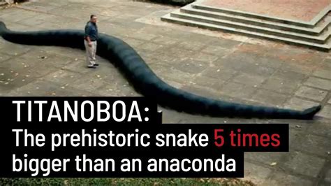 Largest anaconda ever titanoboa - nelodg