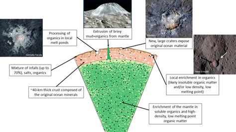 Surface geomorphological features on Ceres and their connections to the ...