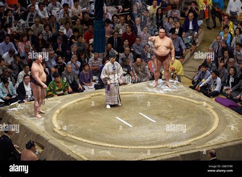 Sumo wrestlers preparing to fight in the wrestling ring at 2013 ...