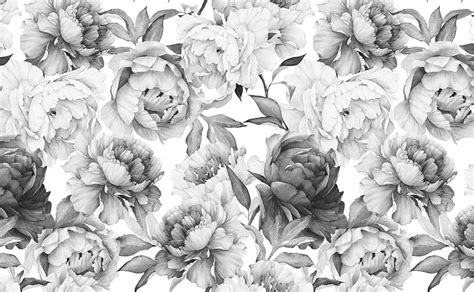 Bold Floral Pattern for Walls. Clara Black & White, Simple White Floral ...