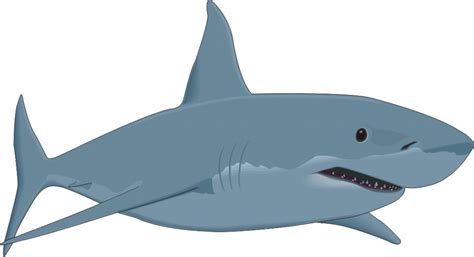 Cartoon Great White Shark - Fun and Fierce Illustrations