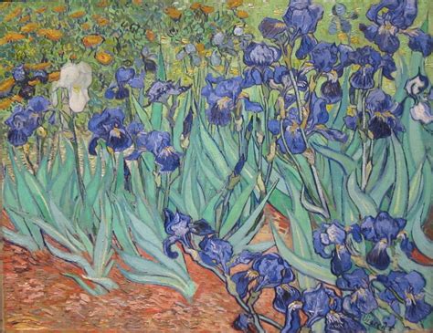 File:Irises by Vincent Van Gogh in GettyCenter.jpg - Wikimedia Commons