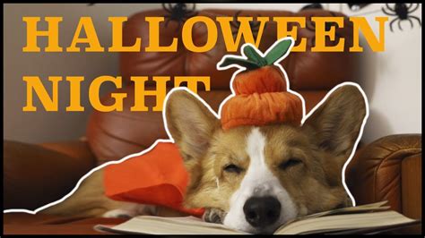 HAUNTED HALLOWEEN - Topi the Corgi - YouTube