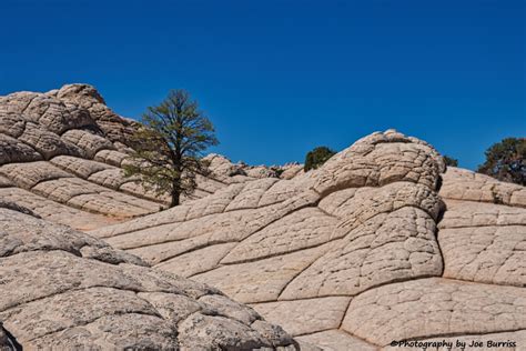 Vermillion Cliffs National Monument – White Pocket – Journey with Joe ...