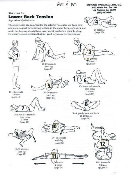 Pin en Low back exercises