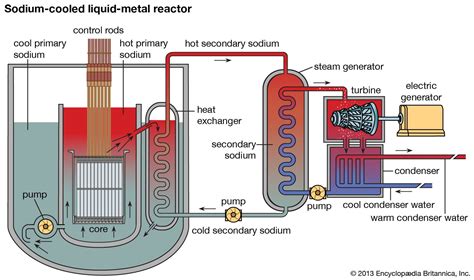 Sodium-cooled fast reactor | physics | Britannica