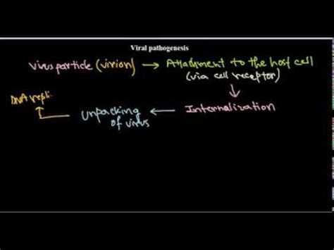 5 Viral pathogenesis introduction - YouTube