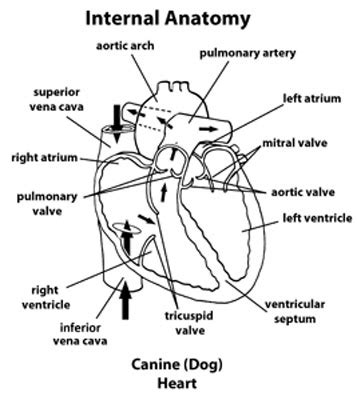 A Divided Heart And Other Stories FB2 – blog Cerpart49ster